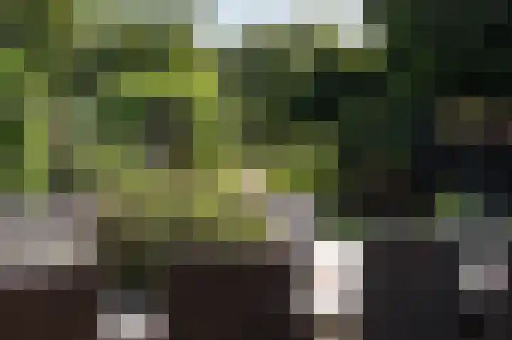 Hunzeweg 25 Nieuw Annerveen thumbnail 50