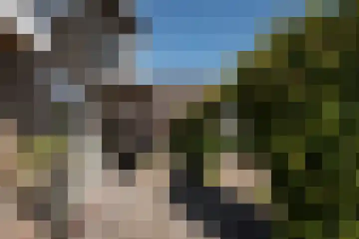 Hunzeweg 25 Nieuw Annerveen thumbnail 54
