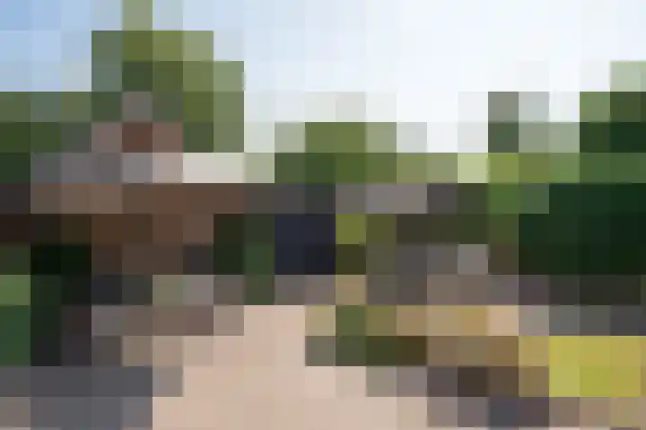 Hunzeweg 25 Nieuw Annerveen thumbnail 55
