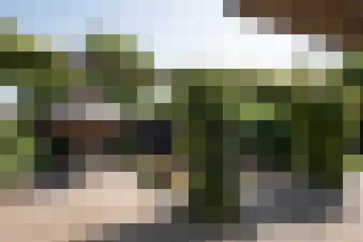 Hunzeweg 25 Nieuw Annerveen thumbnail 56