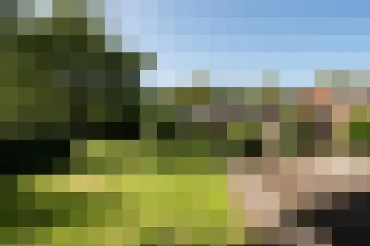 Hunzeweg 25 Nieuw Annerveen thumbnail 59