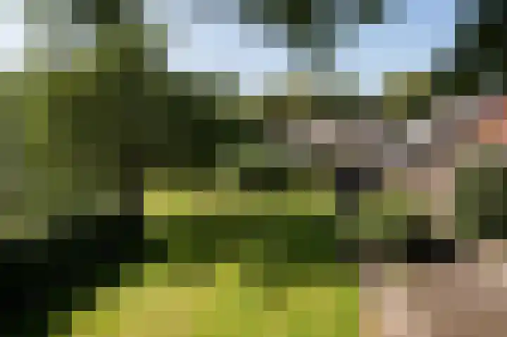 Hunzeweg 25 Nieuw Annerveen thumbnail 60
