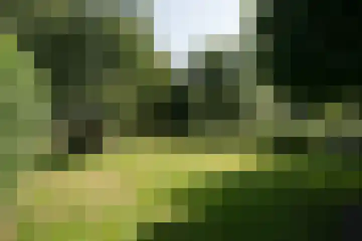 Hunzeweg 25 Nieuw Annerveen thumbnail 62