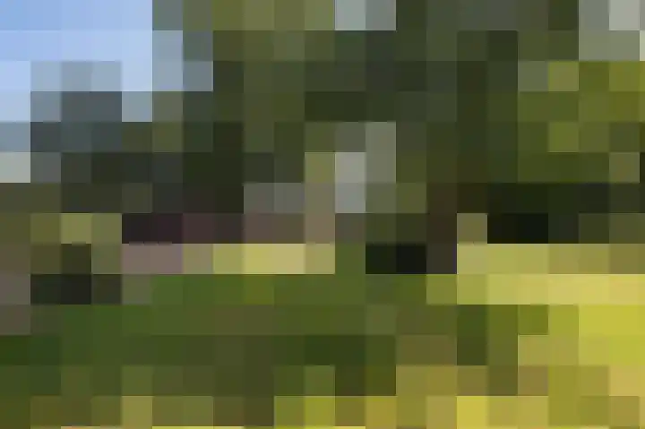 Hunzeweg 25 Nieuw Annerveen thumbnail 63