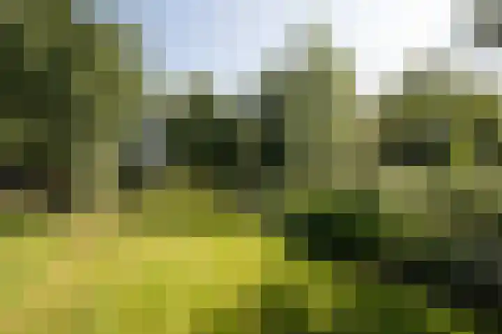 Hunzeweg 25 Nieuw Annerveen thumbnail 64