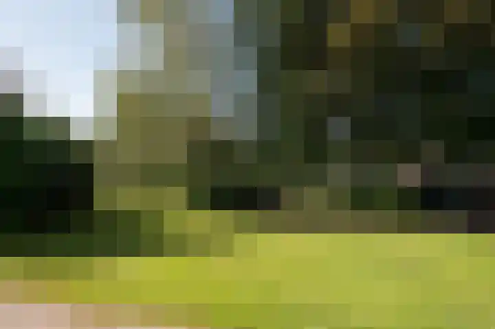 Hunzeweg 25 Nieuw Annerveen thumbnail 65