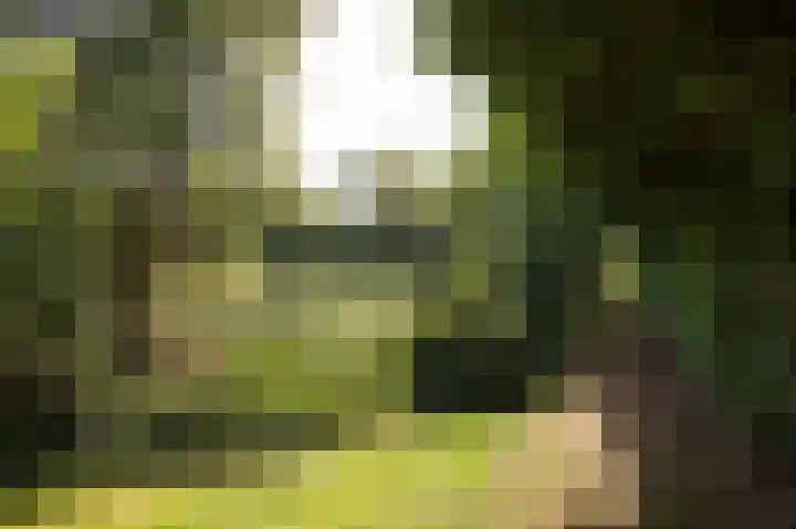 Hunzeweg 25 Nieuw Annerveen thumbnail 66