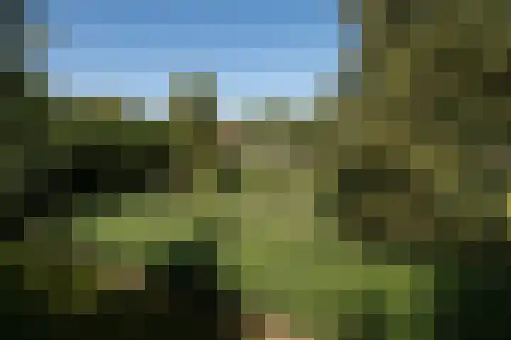 Hunzeweg 25 Nieuw Annerveen thumbnail 67