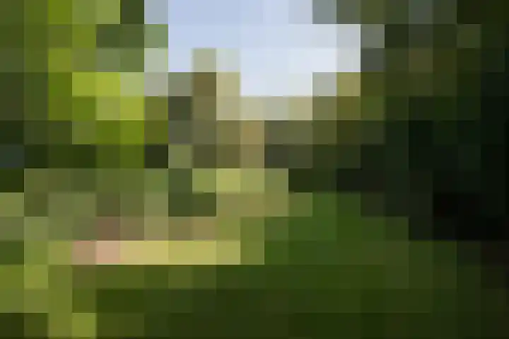 Hunzeweg 25 Nieuw Annerveen thumbnail 68