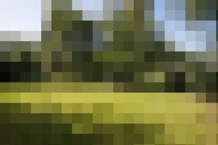 Hunzeweg 25 Nieuw Annerveen thumbnail 71
