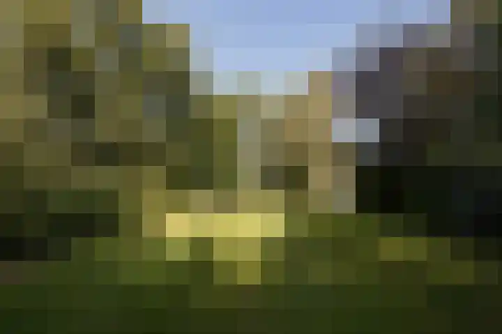 Hunzeweg 25 Nieuw Annerveen thumbnail 72