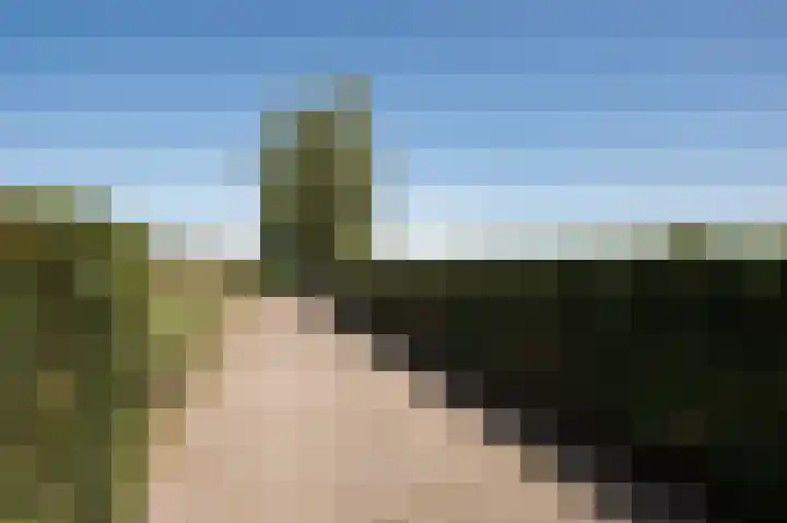 Hunzeweg 25 Nieuw Annerveen thumbnail 73