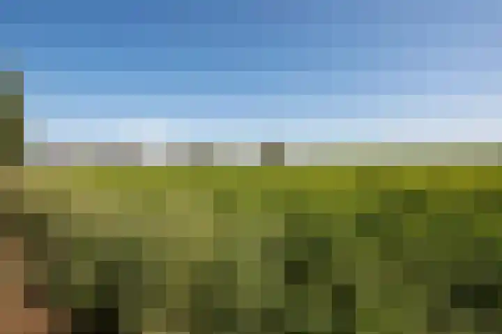 Hunzeweg 25 Nieuw Annerveen thumbnail 75