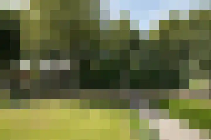 Hunzeweg 25 Nieuw Annerveen thumbnail 76
