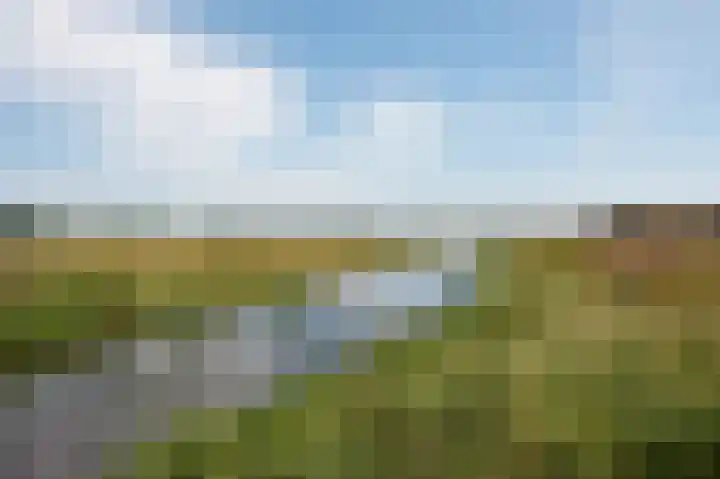 Hunzeweg 25 Nieuw Annerveen thumbnail 78