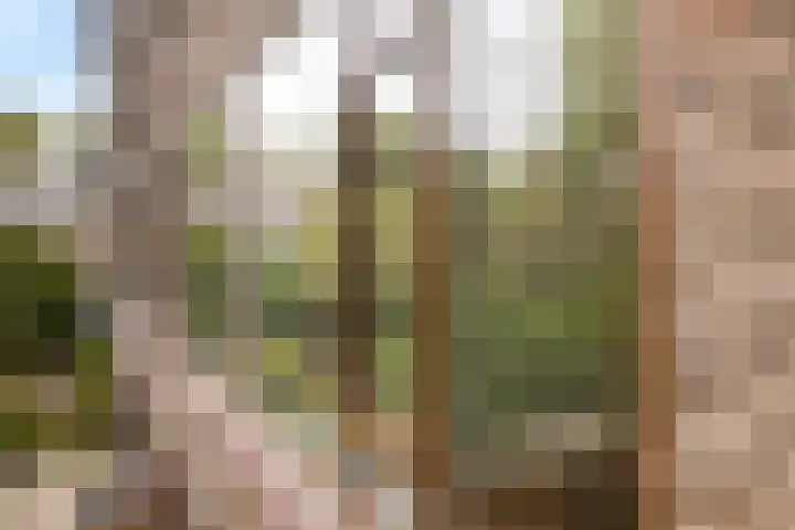 Hunzeweg 26 Dordrecht thumbnail 18