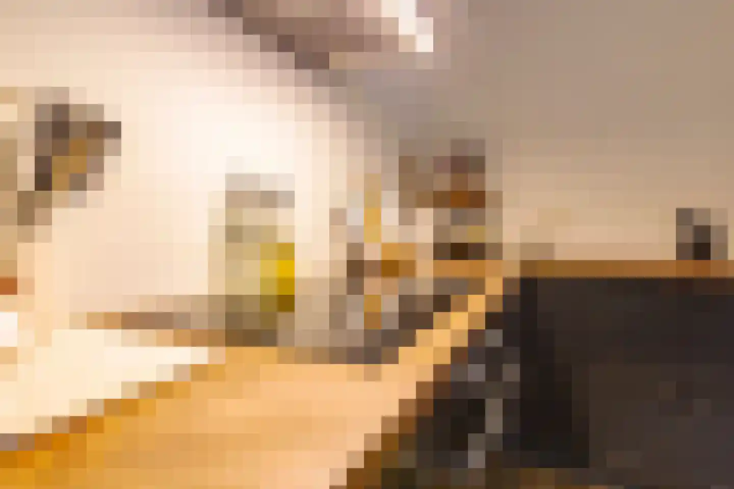Hunzeweg 37 Garnwerd thumbnail 10