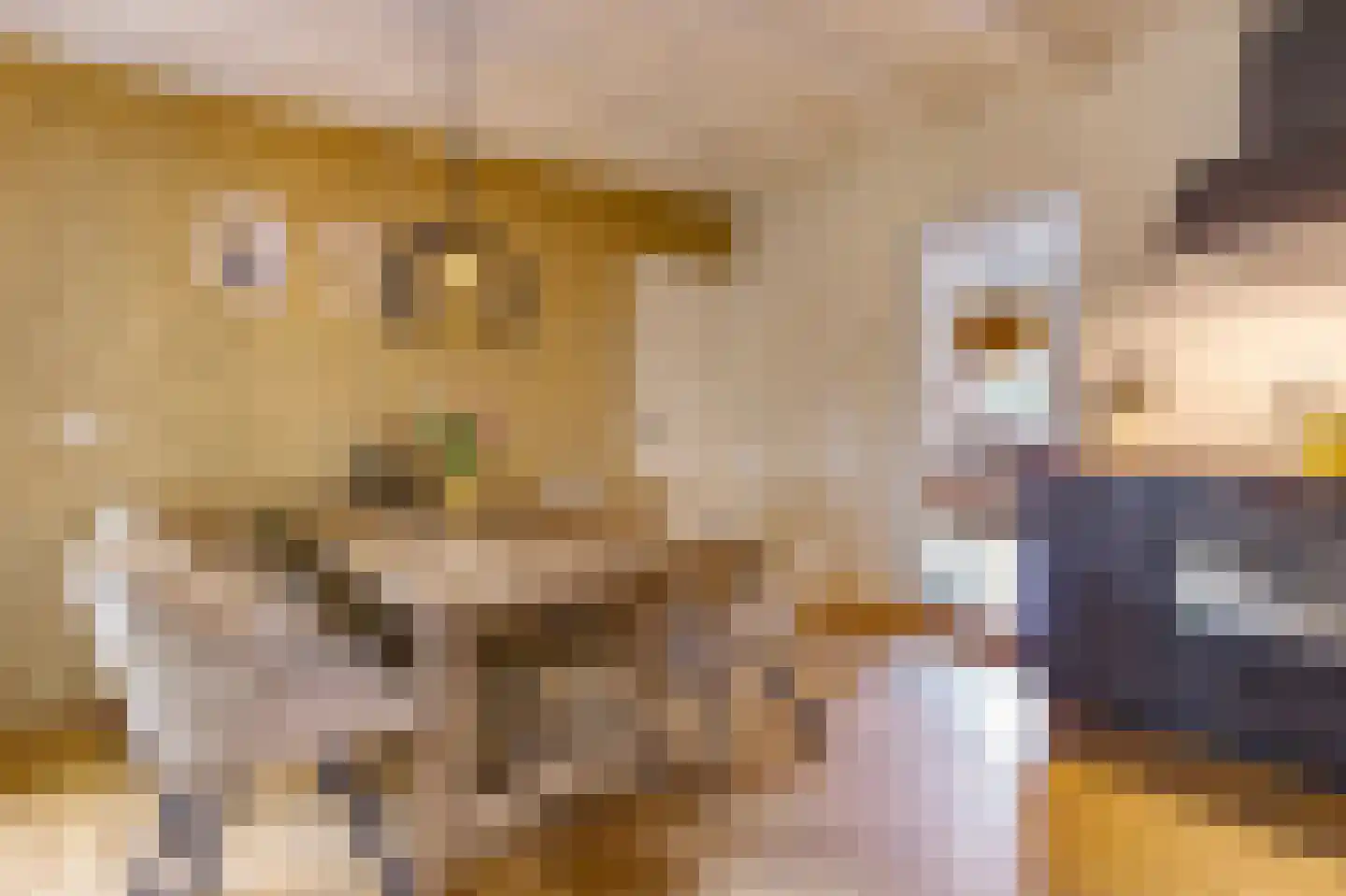 Hunzeweg 37 Garnwerd thumbnail 13