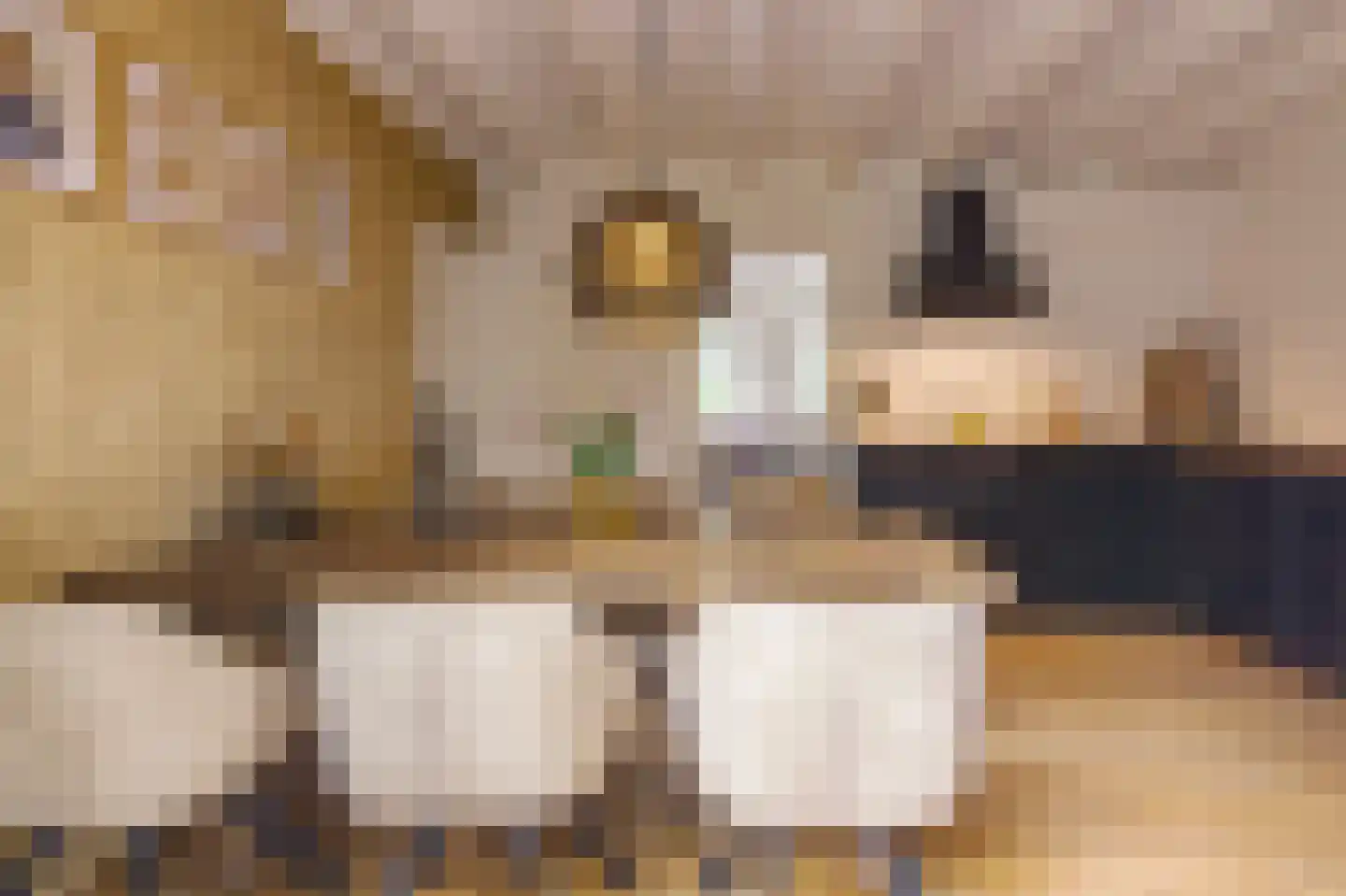 Hunzeweg 37 Garnwerd thumbnail 14