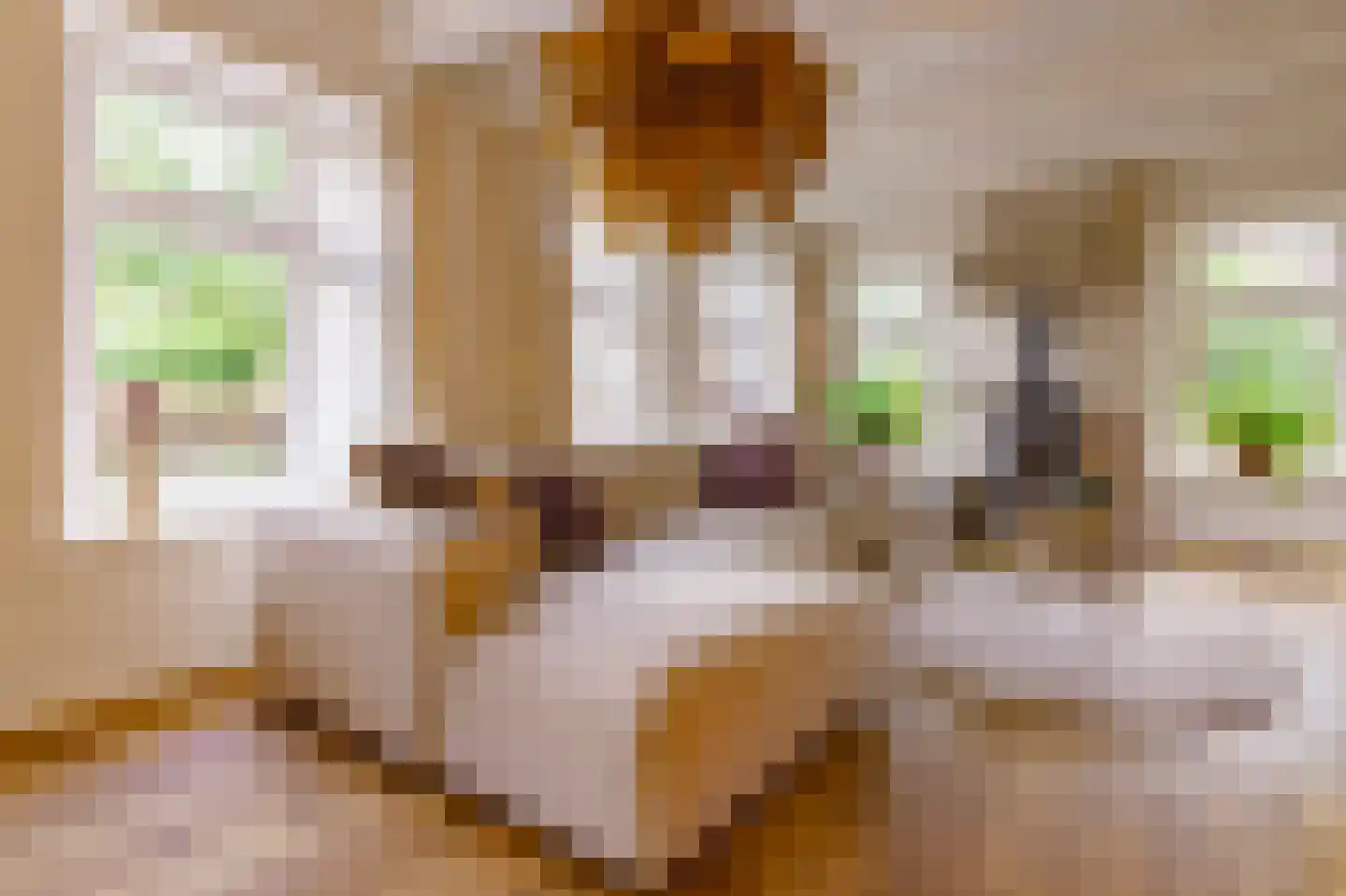 Hunzeweg 37 Garnwerd thumbnail 16