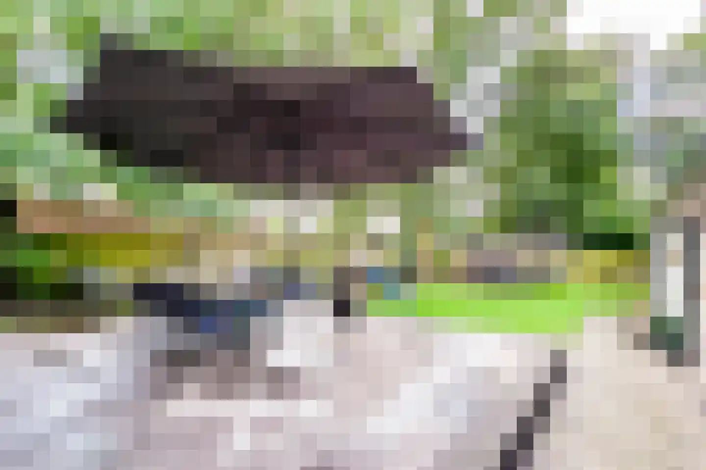 Hunzeweg 37 Garnwerd thumbnail 33