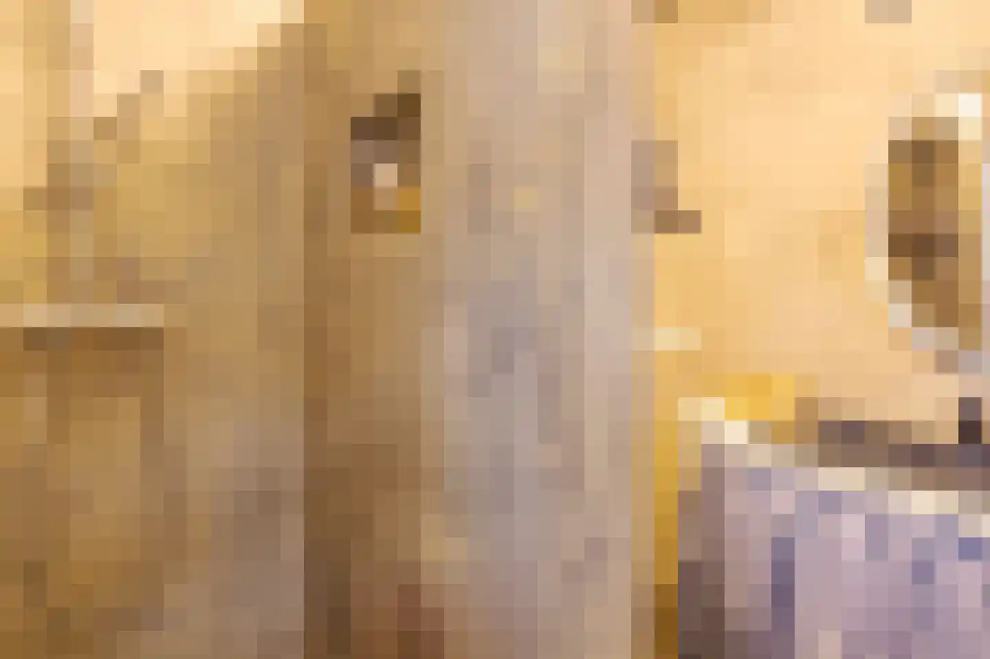Hunzeweg 37 Garnwerd thumbnail 4