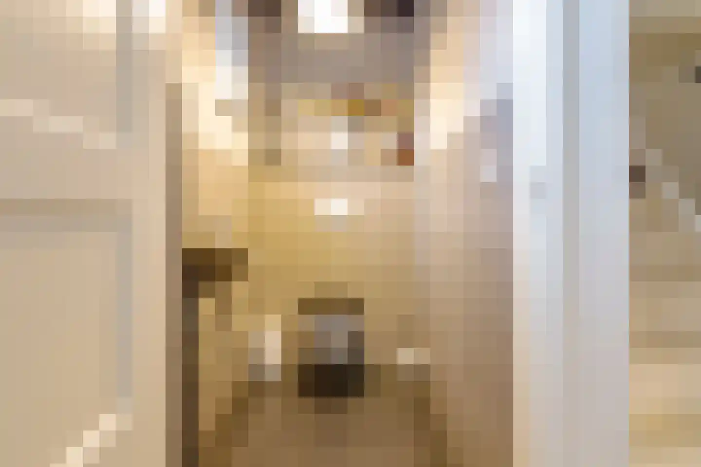 Hunzeweg 37 Garnwerd thumbnail 7