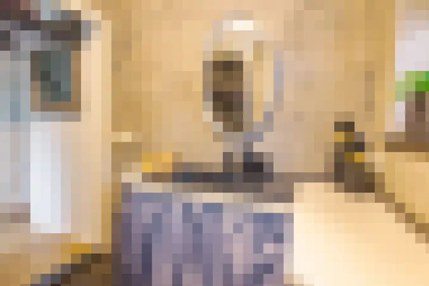 Hunzeweg 37 Garnwerd thumbnail 8