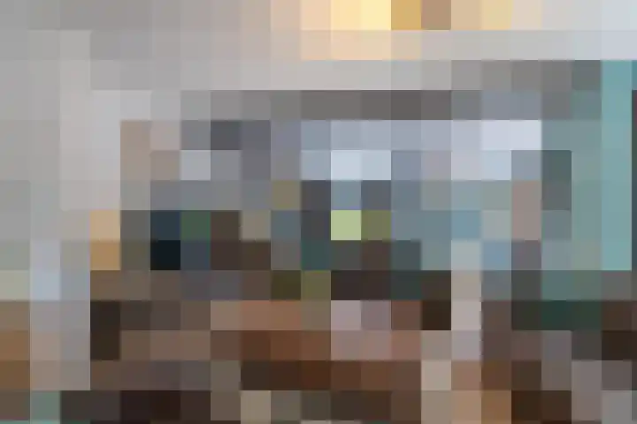 Hunzeweg 38 De Groeve thumbnail 11