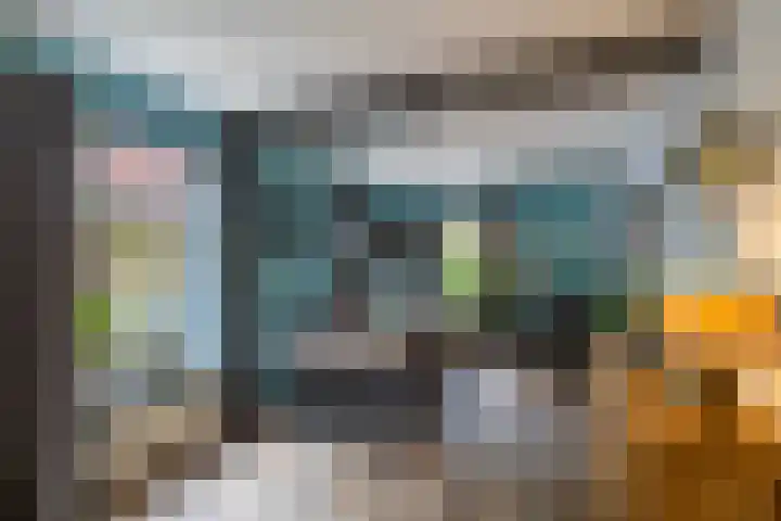 Hunzeweg 38 De Groeve thumbnail 15