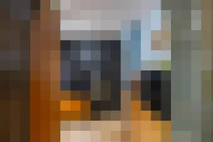 Hunzeweg 38 De Groeve thumbnail 16