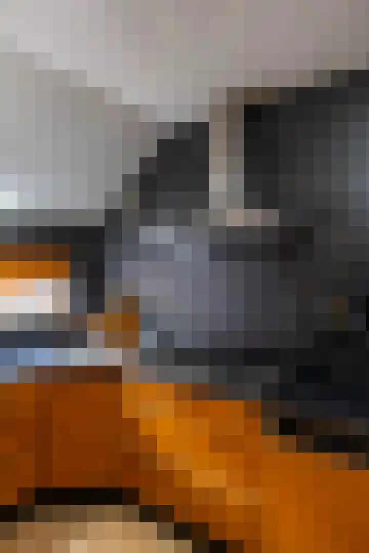 Hunzeweg 38 De Groeve thumbnail 19