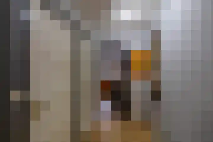 Hunzeweg 38 De Groeve thumbnail 21