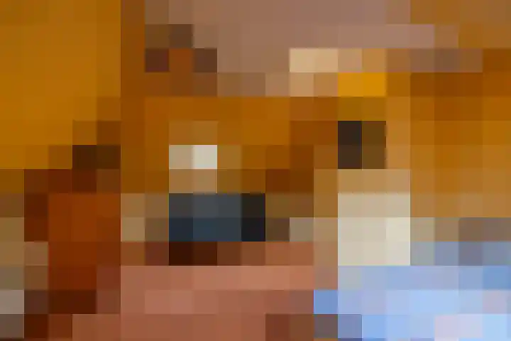 Hunzeweg 38 De Groeve thumbnail 38