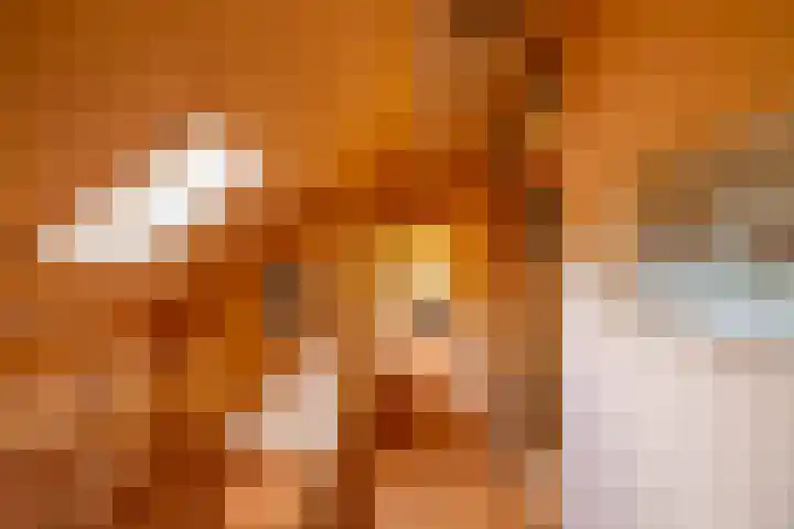 Hunzeweg 38 De Groeve thumbnail 41