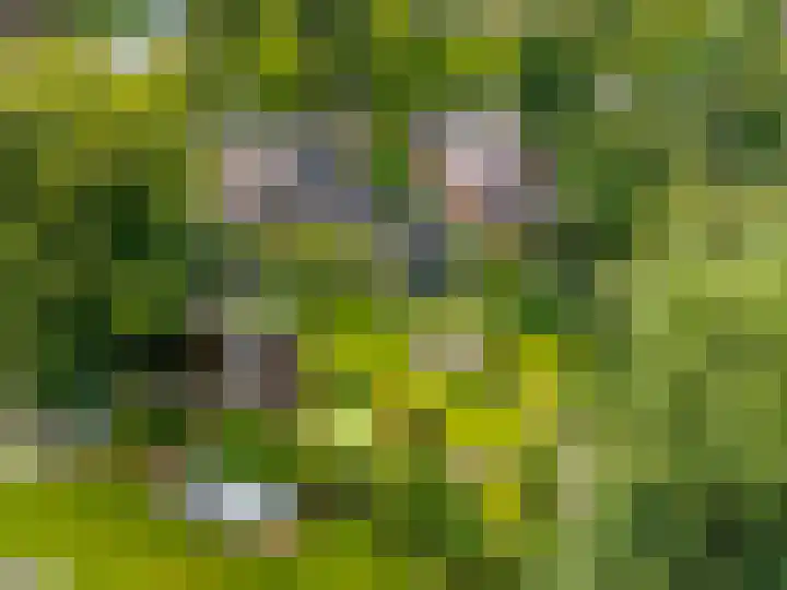 Hunzeweg 38 De Groeve thumbnail 44