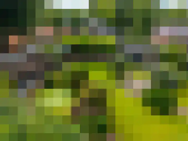 Hunzeweg 38 De Groeve thumbnail 45