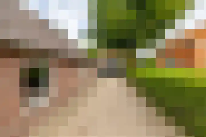 Hunzeweg 38 De Groeve thumbnail 46