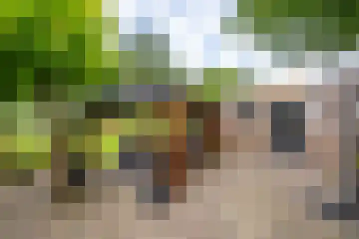 Hunzeweg 38 De Groeve thumbnail 49