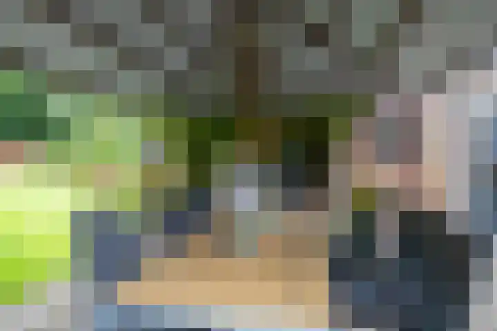 Hunzeweg 38 De Groeve thumbnail 50