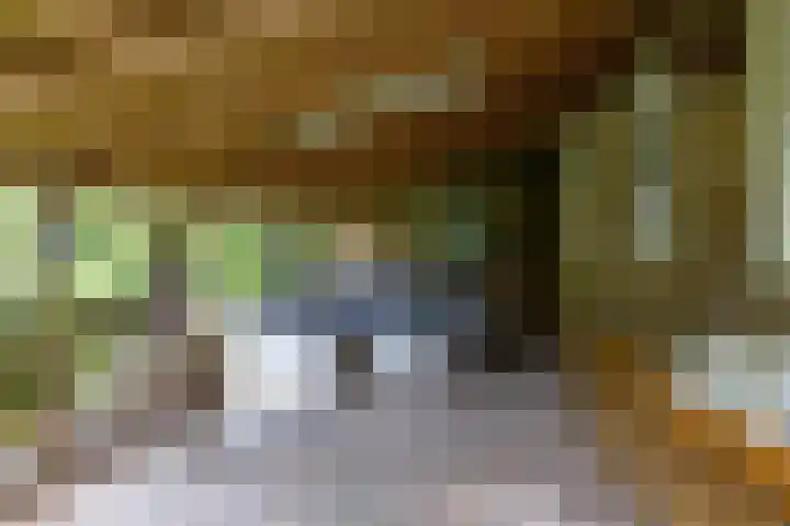 Hunzeweg 38 De Groeve thumbnail 51