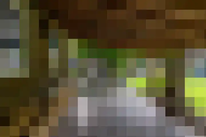 Hunzeweg 38 De Groeve thumbnail 52