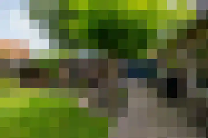 Hunzeweg 38 De Groeve thumbnail 53