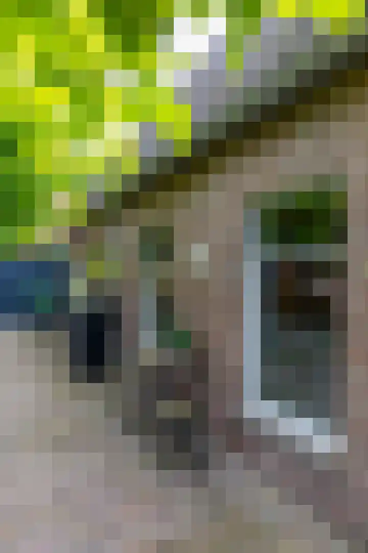 Hunzeweg 38 De Groeve thumbnail 54