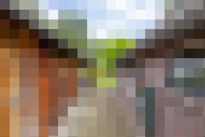 Hunzeweg 38 De Groeve thumbnail 57