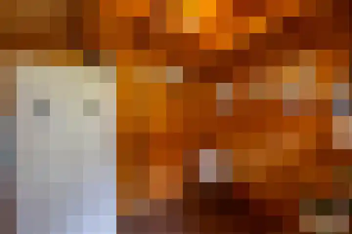 Hunzeweg 38 De Groeve thumbnail 58