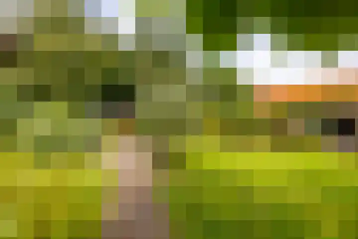 Hunzeweg 38 De Groeve thumbnail 59