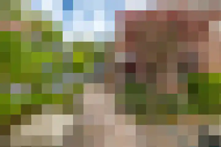 Hunzeweg 38 De Groeve thumbnail 6