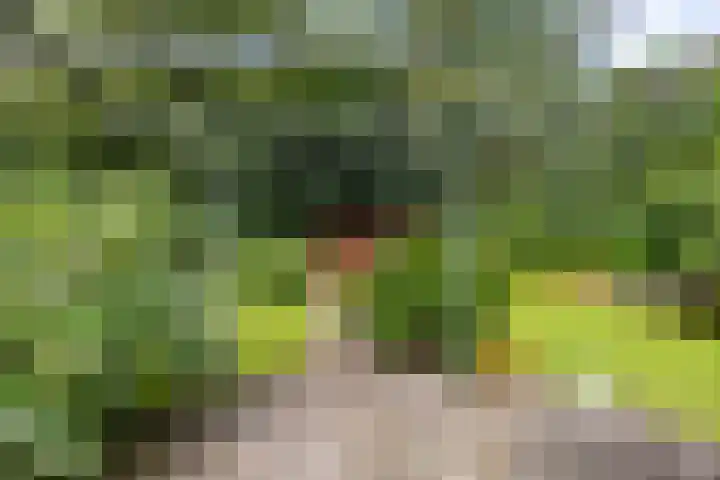 Hunzeweg 38 De Groeve thumbnail 60
