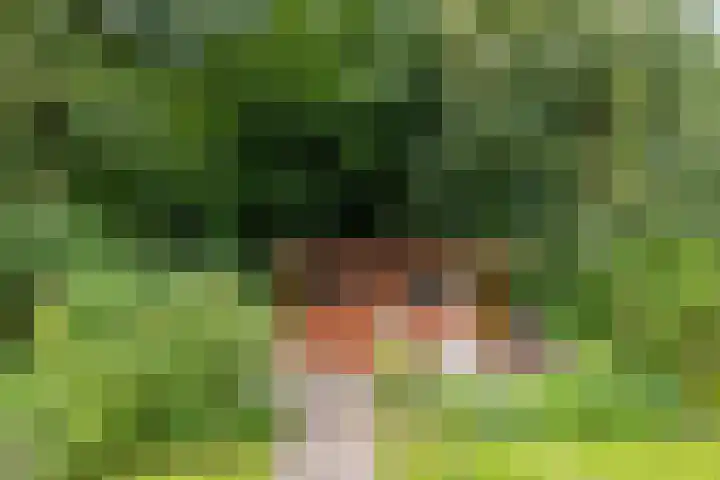 Hunzeweg 38 De Groeve thumbnail 61